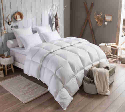 Couette Chaude duvet d'oie haut de gamme